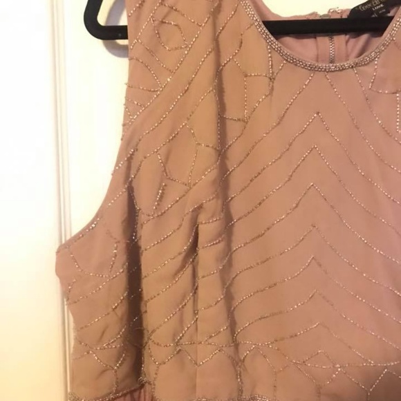 Beautiful Blush Plus Size Dress - Picture 6 of 7